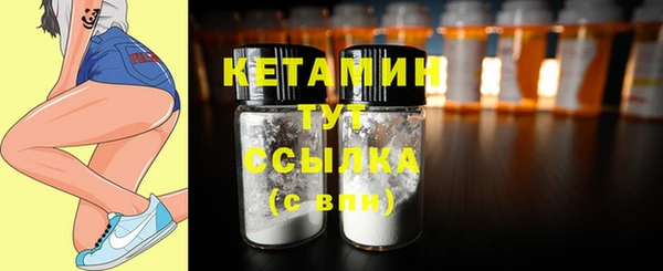 прущие крисы Каменка