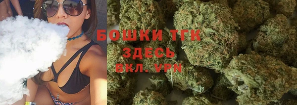 прущие крисы Каменка