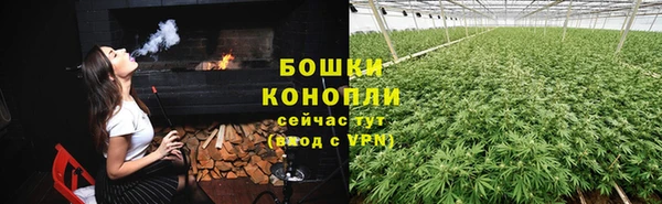 прущие крисы Каменка