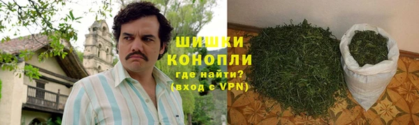 гидропоника Каменногорск