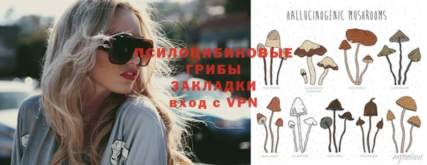гидропоника Каменногорск