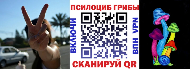 Псилоцибиновые грибы GOLDEN TEACHER Купить где Шилка