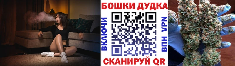 Купить закладки Шилка Бошки Шишки SATIVA & INDICA
